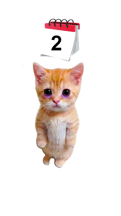 Download lagu How does paranoia work? Explain with kitties.