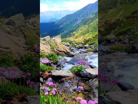 Experience BREATHTAKING Mountain Landscapes With SERENE Streams