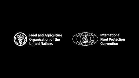 Interview with Ms. Françoise Petter at CPM-13 (Part III)