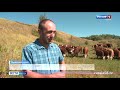 В Лунинском районе бывший бизнесмен-кондитер начал разводить коров