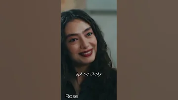 من اول دقيقه اليسا وسعد لمجرد حالات واتس اب ستوري انستا 