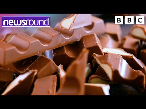 Why is chocolate getting more expensive?| Newsround