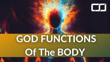 What are the god Functions of the Body Temple? (ESFJ, ISFP, ENTJ, INTP) Season 35 | CS Joseph