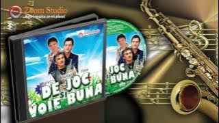 COLAJ MUZICA DE JOC SI VOIE BUNA CU PUIU CODREANU, PETRICA NICOARA SARBU SI TINU VERESEZAN