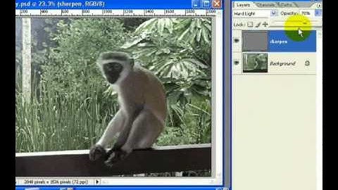 Advanced Sharpening in Photoshop CS2 - High Pass & View Size