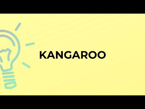 What is the meaning of the word KANGAROO?