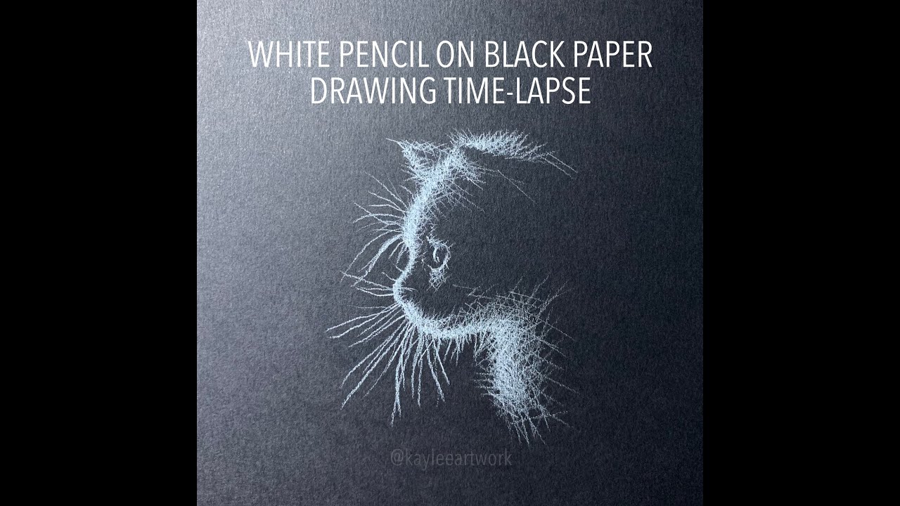 White Pencil on Black Paper Drawing: A Cat Portrait Drawing Time-lapse ...
