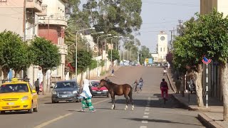 “Eritrea: The Untold Story of Africa’s Most Mysterious Nation”