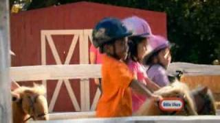Little Tikes - GiddyUp n Go Pony screenshot 4
