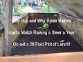 Why buy worms - raising worms for profit