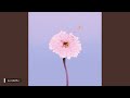 【432Hz】百日草 Zinnia - 茉ひる
