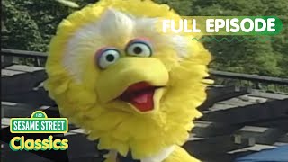 Big Birds Birthday  Sesame Street Classics  Episode