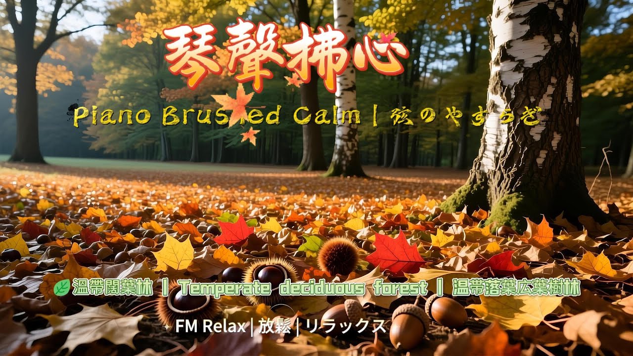 Шепот сердца: 2.8ч нежного пианино и звуков леса для глубокого сна, учебы и медитации Лиственный лес