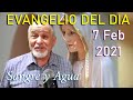 Evangelio Del Dia de Hoy - Domingo 7 Febrero 2021- Sangre y Agua