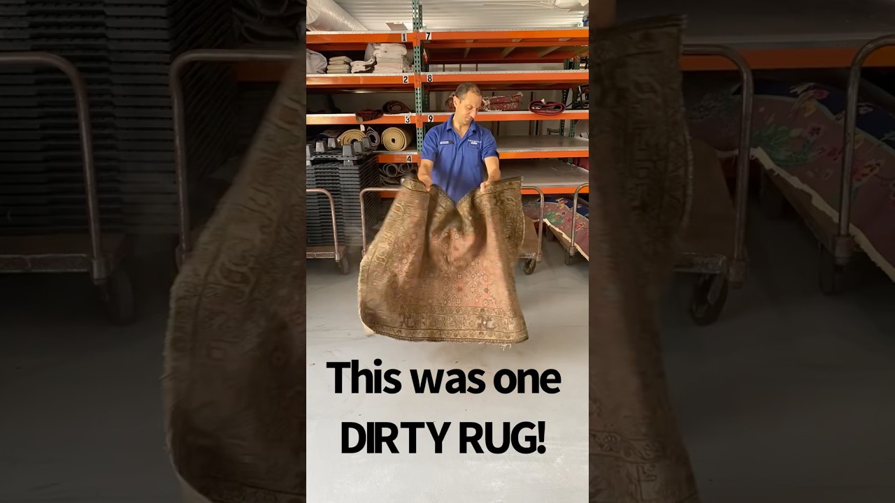 The Dirtiest Rug We&rsquo;ve Ever Cleaned! 😱