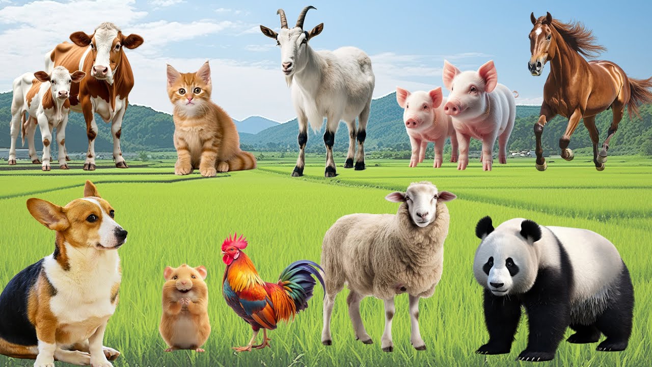 Beautiful Animals and Pets: Cat, Rabbit, Chick, Dog, Mouse, Pig, Cow, Horse, Turtle – Animal Sounds
