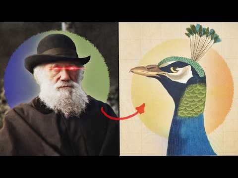 ¿Por Qué Darwin ODIABA a los Pavos Reales?