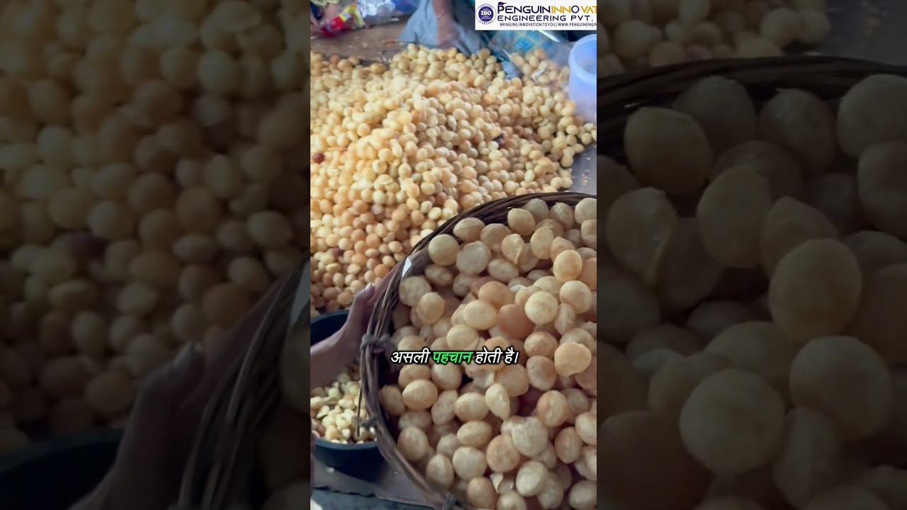 Automatic Samosa Patti Making Machine😍|Samosa Cutting Machine📌| Food Business Idea 2026 |