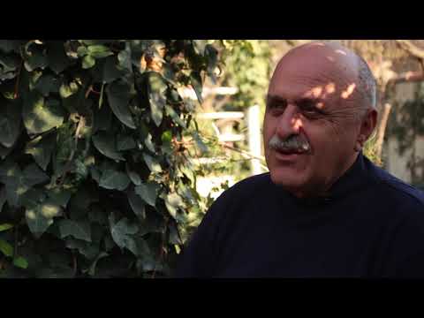 \"მწვანე მეგობრები\"