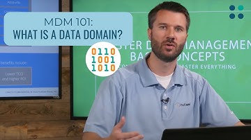 Domain Definition in Master Data Management