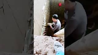 The process of adding bamboo chips to the cellar = good tools can increase efficiency