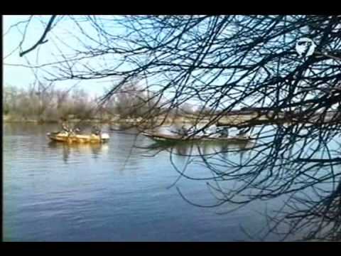 Рыбалка волга старица