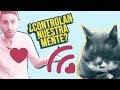 ¿Los gatos crean adicción? 🙀🙀🙀😵| La verdad tras la enfermedad que te hace querer tener más gatos