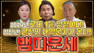 2024년 갑진년 뱀띠 운세하늘의 기운으로 초대박난다! 2024년 크게 대박날수있다!/53년생 65년생 77…