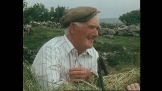 Is Farming in The Gaeltacht Worthwhile? Co. Galway, Ireland 1984