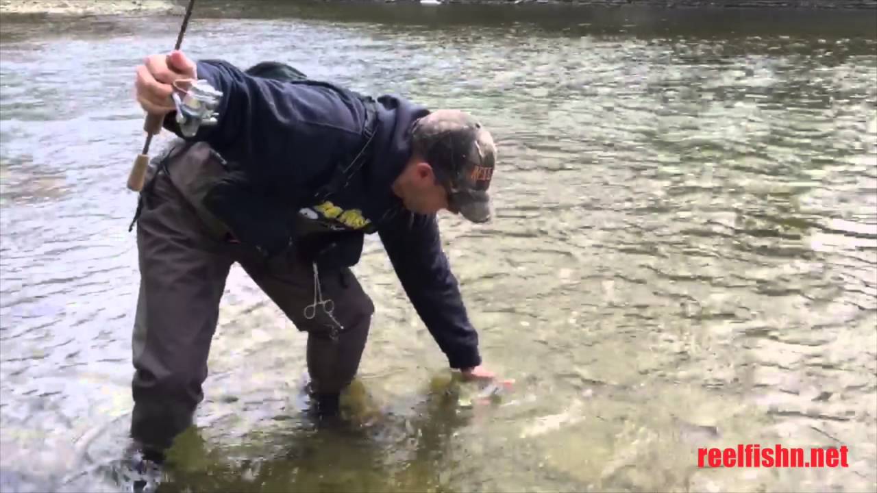 How To Remove Crankbait Hooks Without Hooking Yourself