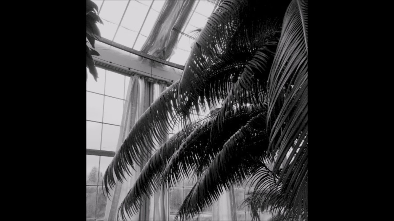 02. HVRXLD/palence - i