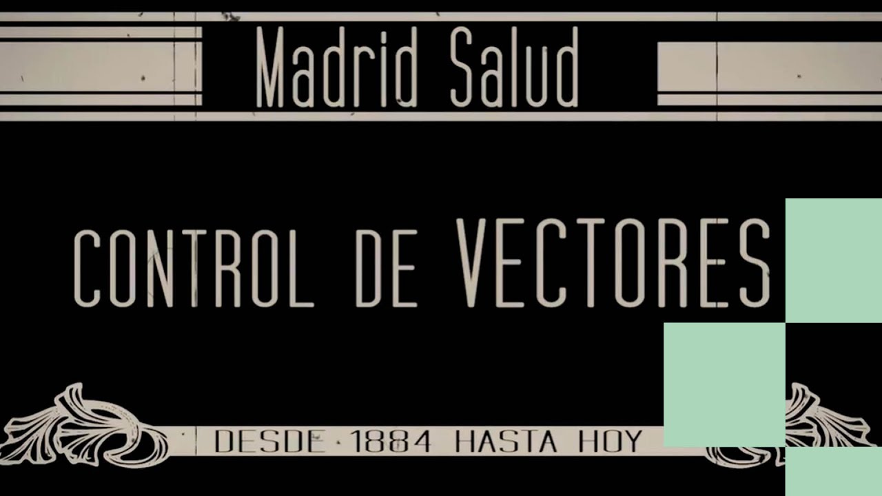 Historia del Control de Vectores