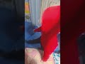 banku bhaiya gir gye😂😂#funnyvideo