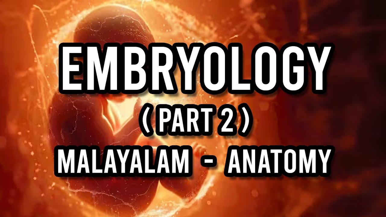 Embryology Part 2 | Anatomy ( Malayalam )