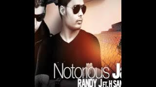 Randy J - Notorious Jatt 2