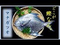【絶品】マナガツオで焼き物3種　～南部焼・黄身焼・塩焼き～