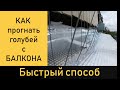 Как прогнать голубей с балкона