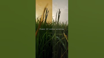 Power of colour grading #vn #vnvideoeditor #viralreels #capcut #editing #tutorial