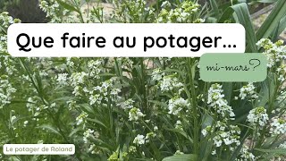 Que faire au potager mi-mars ? LE POTAGER DE ROLAND