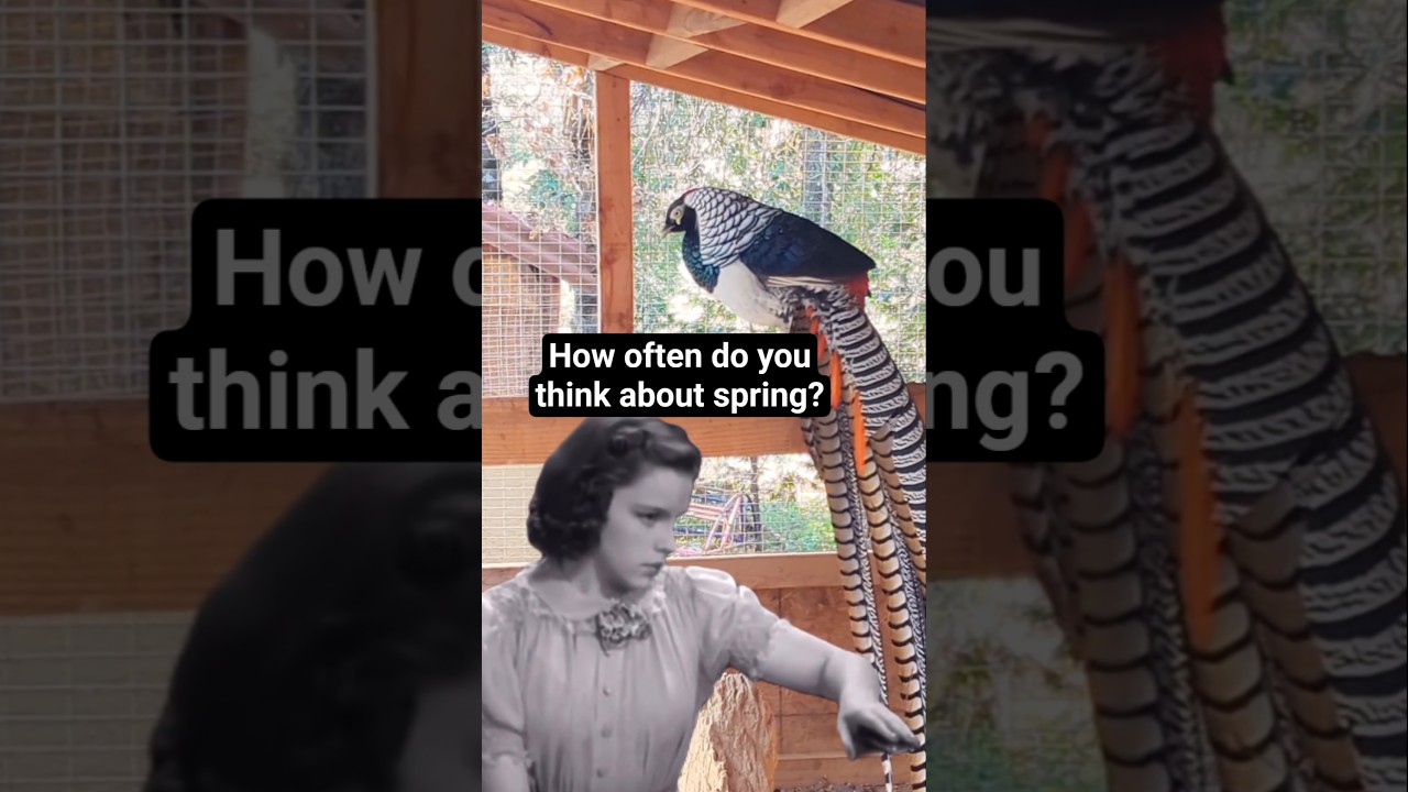 Весна уже не за горами, вы готовы? 