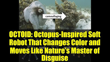 OCTOID: Octopus-Inspired Soft Robot That Changes Color and Moves Like Nature