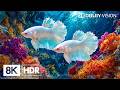 Tranquil Marine Underwater Creatures in 8K HDR | Dolby Vision™