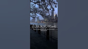 سورة يونس #سورة_يونس #عبدالرحمن_مسعد #قران_كريم #قرآن #قرآن_كريم #قران