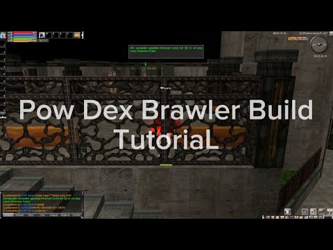 POW DEX BRAWLER BUILD TUTORIAL 167 LAST SKILL - Extraction Ran Online EP 6 210 CAP