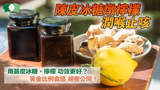 【齋Talking】DIY陳皮冰糖燉檸檬用甚麼冰糖和檸檬品種功效更好 黃金比例食譜絕密公開 (中文字幕)