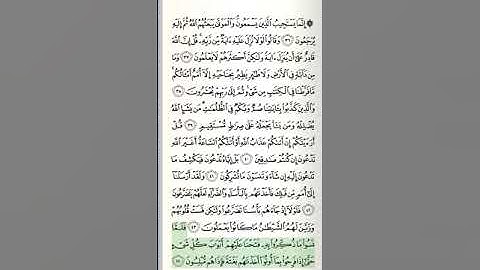 سورة الأنعام - من الآية 36 حتى الآية 58
