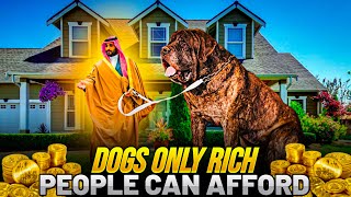 Most expensive dogs only rich people can buy!