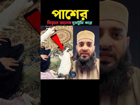 পাশের বিড়াল অনেক দুসটুমি করে 😱 Mizanur Rahman azhari #trendingshorts #islamic #shortsfeed#viralvideo