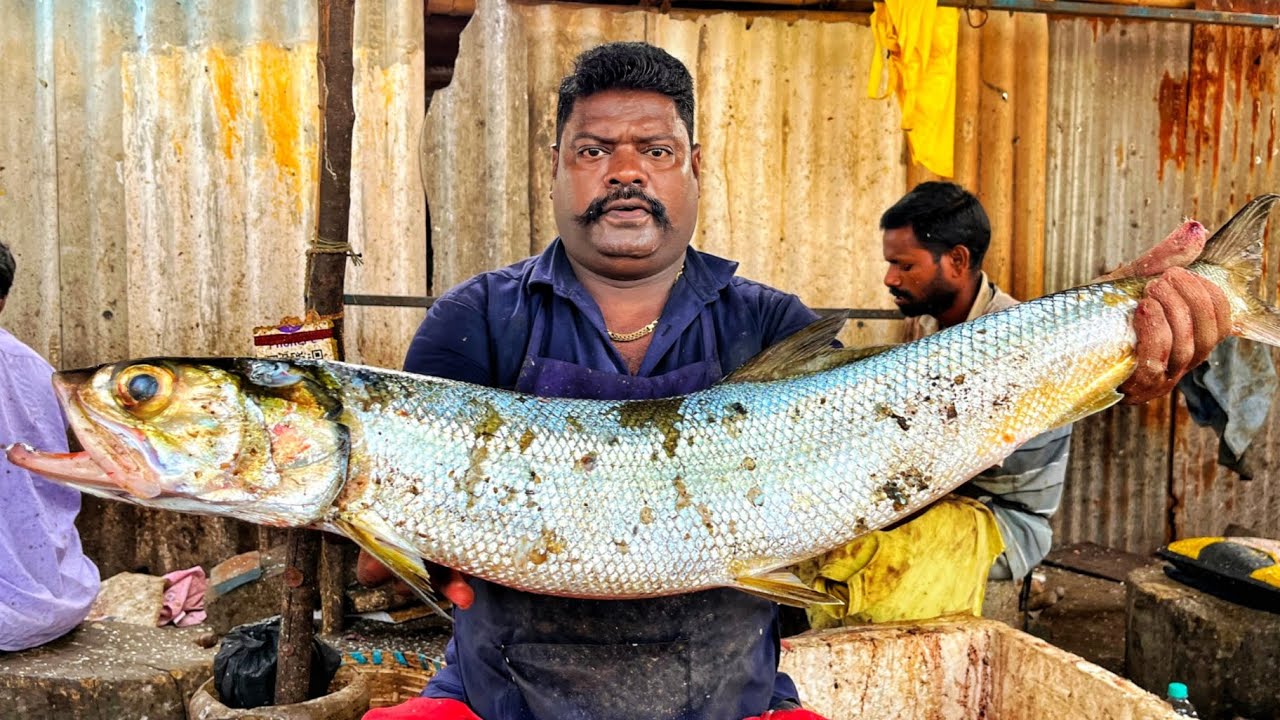 KASIMEDU 🔥 SPEED SELVAM | HUGE ALATHI FISH CUTTING VIDEO | 4K VIDEO ...