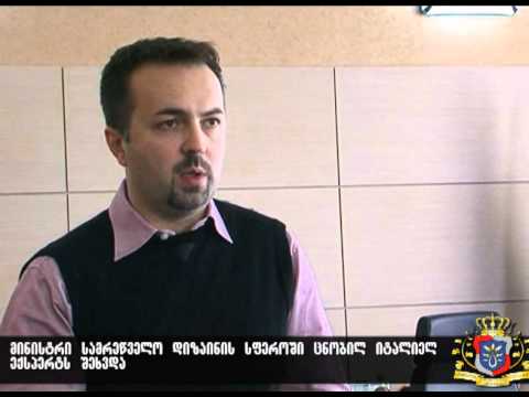 შეხვედრა იტალიელ ექსპერტთან